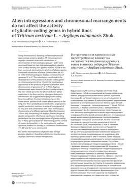 Alien Introgressions and Chromosomal Rearrangements Do Not Affect the Activity of Gliadin-Coding Genes in Hybrid Lines of Triticum Aestivum L