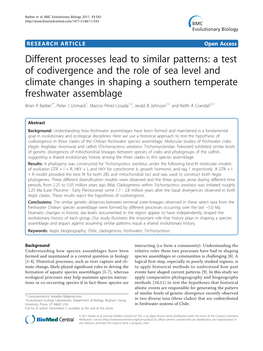 Different Processes Lead to Similar Patterns: a Test of Codivergence And