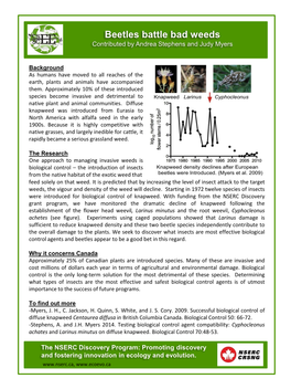 Beetles Battle Bad Weeds Contributed by Andrea Stephens and Judy Myers