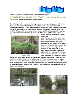 A SHORT STROLL ALONG the LODDON - Lower Earley Woods and Meadows and We Do Mean Short, About 35 Mins!