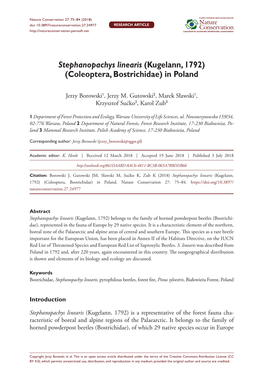 Stephanopachys Linearis (Kugelann, 1792) (Coleoptera, Bostrichidae) in Poland
