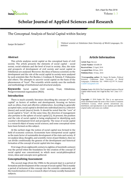 The Conceptual Analysis of Social Capital Within Society