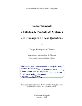 Emaranhamento E Estados De Produto De Matrizes Em Transições De Fase Quânticas / Thiago Rodrigues De Oliveira