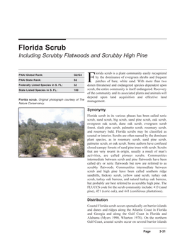 Florida Scrub Is a Plant Community Easily Recognized