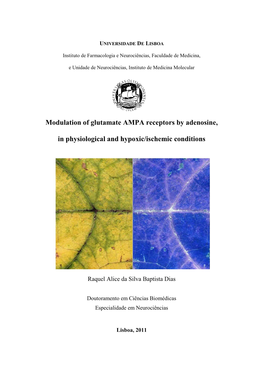 Modulation of Glutamate AMPA Receptors by Adenosine, in Physiological and Hypoxic/Ischemic Conditions