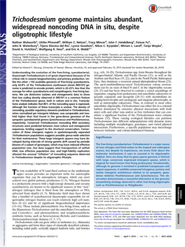 Trichodesmium Genome Maintains Abundant, Widespread Noncoding DNA in Situ, Despite Oligotrophic Lifestyle