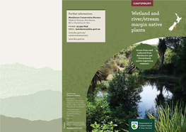 Wetland and River/Stream Margin Native Plants