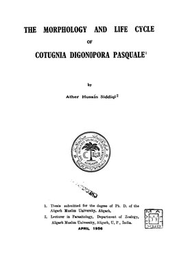The Morphology and Life Cycle Cotugnia Digonopora