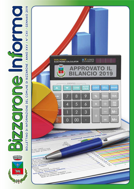 APPROVATO IL BILANCIO 2019 CONFERMATI TUTTI I SERVIZI NESSUN AUMENTO a TASSE O IMPOSTE 4 a Cura Di Bizzarone Informa