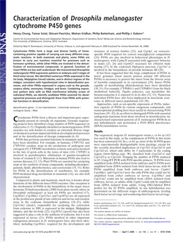 Characterization of Drosophila Melanogaster Cytochrome P450 Genes