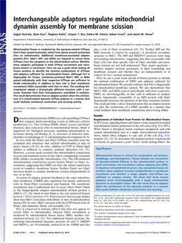 Interchangeable Adaptors Regulate Mitochondrial Dynamin Assembly for Membrane Scission