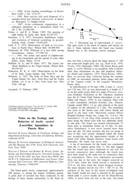 Notes on the Ecology and Behavior of Anolis Cuvieri (Lacertilia: Iguanidae