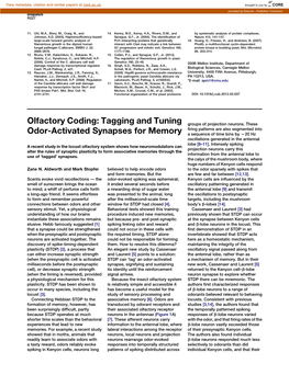Olfactory Coding: Tagging and Tuning Odor-Activated Synapses for Memory