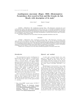 Acanthoponera Mucronata (Roger, 1860) (Hymenoptera: Formicidae), First Record in Perú and Rio Grande Do Sul, Brazil, with Description of Its Male*