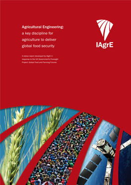 Agricultural Engineering: a Key Discipline for Agriculture to Deliver Global Food Security