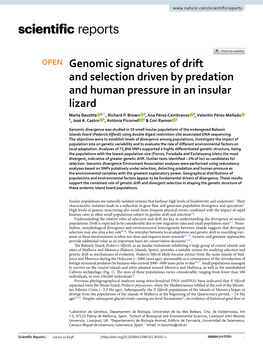 Genomic Signatures of Drift and Selection Driven by Predation and Human Pressure in an Insular Lizard Marta Bassitta 1*, Richard P