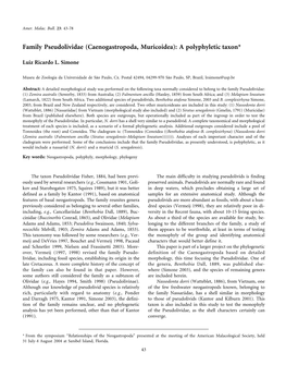 Family Pseudolividae (Caenogastropoda, Muricoidea): a Polyphyletic Taxon*