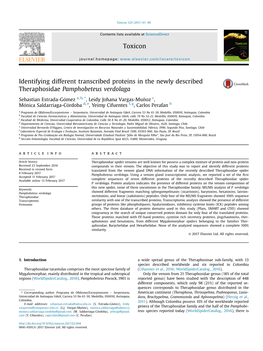 Identifying Different Transcribed Proteins in the Newly Described Theraphosidae Pamphobeteus Verdolaga