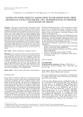 Notes on Some Insects Associated to Frankincense Tree (Boswellia Sacra Flückiger, 1867, Burseraceae) in Dhofar (Sultanate of Oman)