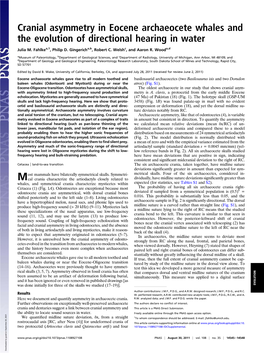 Cranial Asymmetry in Eocene Archaeocete Whales and the Evolution of Directional Hearing in Water