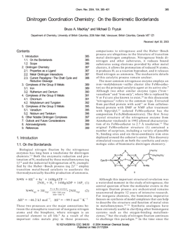 Dinitrogen Coordination Chemistry: on the Biomimetic Borderlands