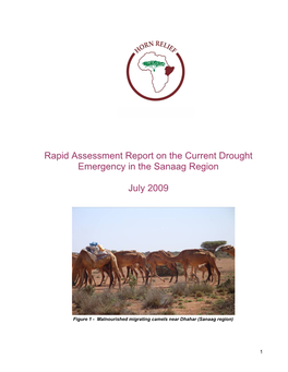 Rapid Assessment Report on the Current Drought Emergency in the Sanaag Region