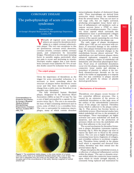 The Pathophysiology of Acute Coronary Syndromes