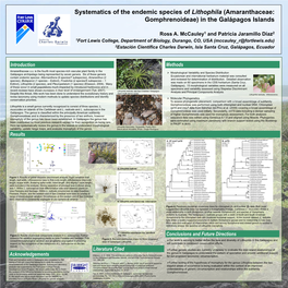 Systematics of the Endemic Species of Lithophila (Amaranthaceae: Gomphrenoideae) in the Galápagos Islands