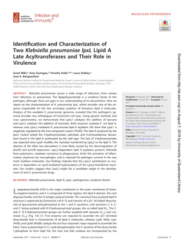 Identification and Characterization of Two Klebsiella Pneumoniae Lpxl