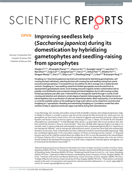 Improving Seedless Kelp (Saccharina Japonica)