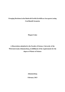 Foraging Decisions in the Bushveld Gerbil (Gerbilliscus Leucogaster) Using Cost/Benefit Scenarios