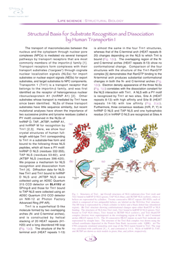 Structural Basis for Substrate Recognition and Dissociation by Human Transportin 1