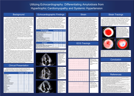 Utilizing Echocardiography: Differentiating Amyloidosis from Hypertrophic Cardiomyopathy and Systemic Hypertension