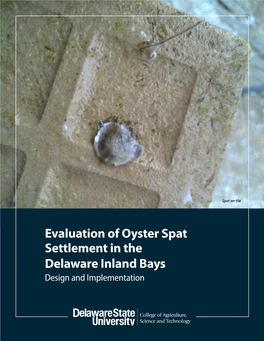 Evaluation of Oyster Spat Settlement in the Delaware Inland Bays Design and Implementation BACKGROUND