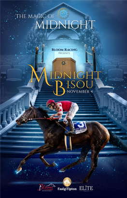 Midnight-Bisou-Passport.Pdf