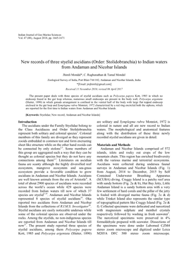 New Records of Three Styelid Ascidians (Order: Stolidobranchia) to Indian Waters from Andaman and Nicobar Islands