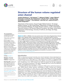 Structure of the Human Volume Regulated Anion Channel