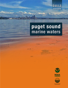 2013 Overview Puget Sound Marine Waters