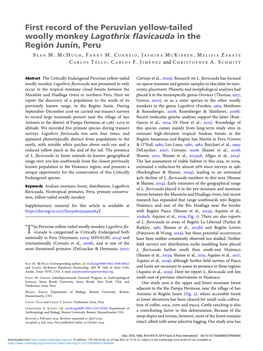 First Record of the Peruvian Yellow-Tailed Woolly Monkey Lagothrix Flavicauda in the Región Junín, Peru
