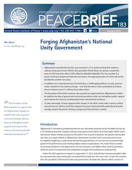 Forging Afghanistan's National Unity Government