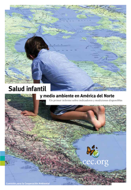 Salud Infantil Y Medio Ambiente En América Del Norte Un Primer Informe Sobre Indicadores Y Mediciones Disponibles