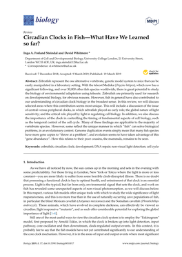 Circadian Clocks in Fish—What Have We Learned So Far?