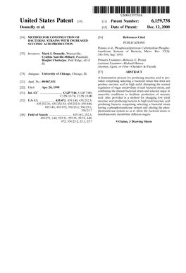 United States Patent 19 11 Patent Number: 6,159,738 Donnelly Et Al