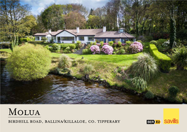 Birdhill Road, Ballina/Killaloe, Co. Tipperary Molua Birdhill Road, Ballina/Killaloe, Co Tipperary, V94 Avr9