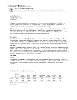 Larix Laricina Family: Pinaceae Tamarack