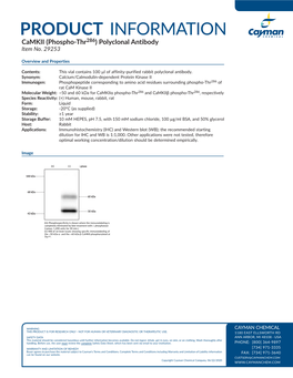 PRODUCT INFORMATION Camkii (Phospho-Thr286) Polyclonal Antibody Item No