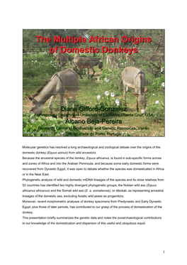 The Multiple African Origins of Domestic Donkeys