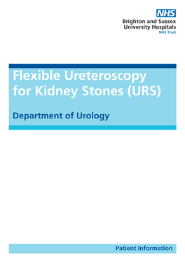 Flexible Ureteroscopy for Kidney Stones (URS)