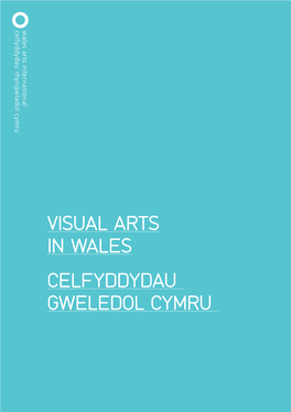 Visual Arts in Wales Celfyddydau Gweledol Cymru