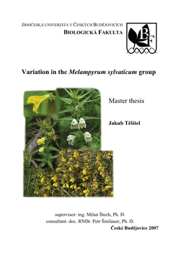 Variation in the Melampyrum Sylvaticum Group Master Thesis